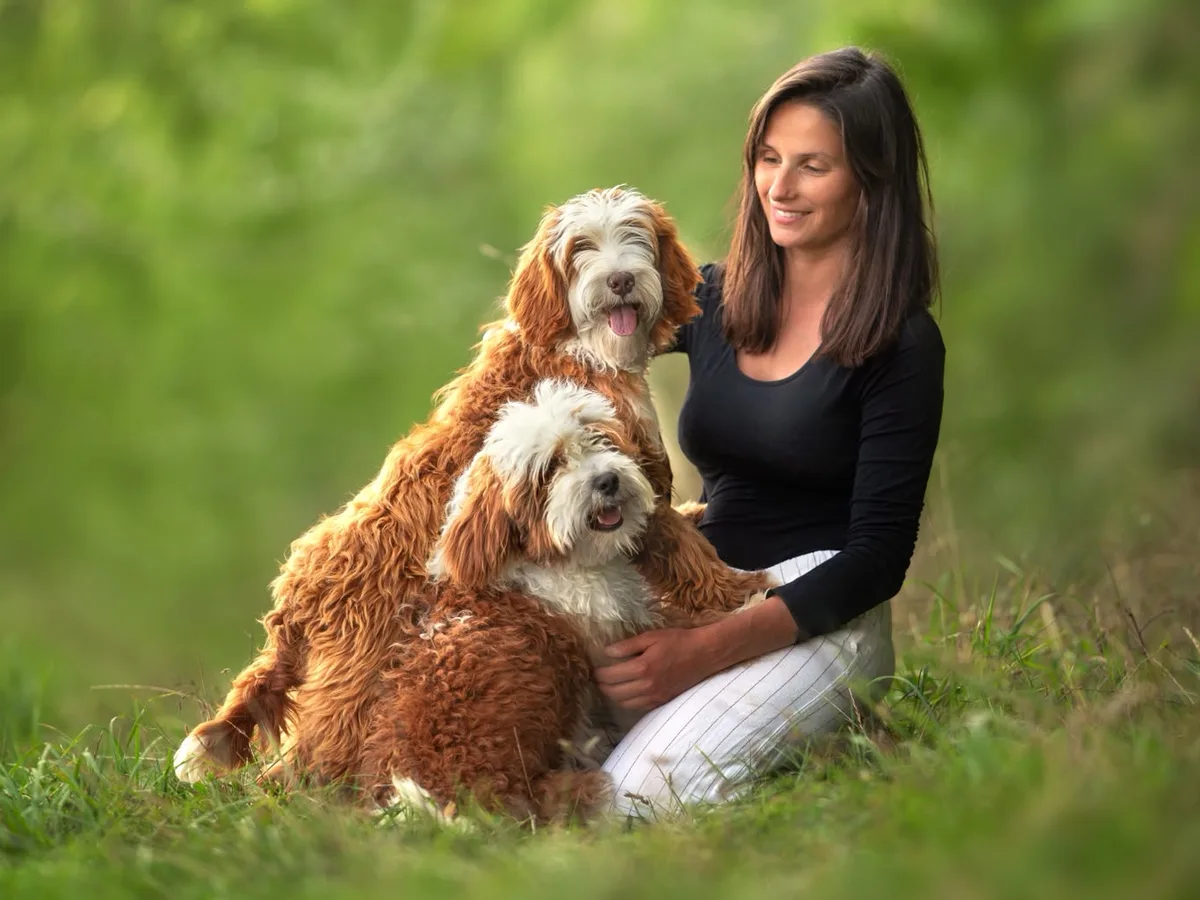 Femme assise dans l'herbe, deux Australian Labradoodles roux et blancs appuyés contre elle, la langue sortie
